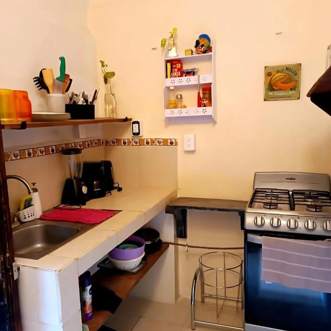 Cozy Central Apartment W Kitchen In Isla Mujeres