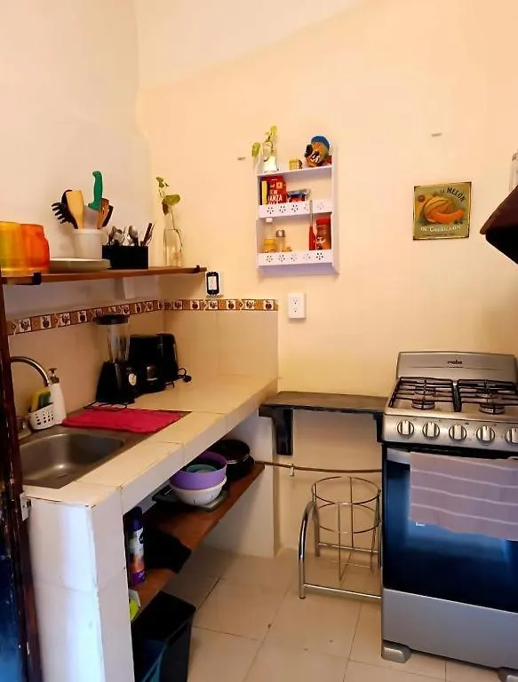 Cozy Central Apartment W Kitchen In Isla Mujeres